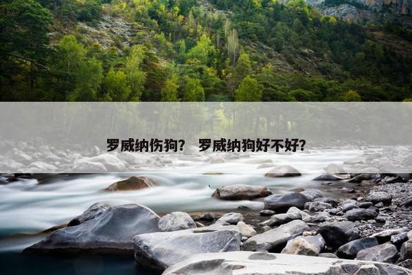 罗威纳伤狗？ 罗威纳狗好不好？