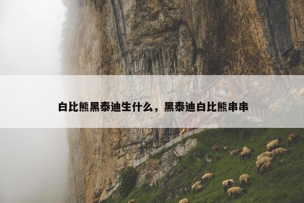 白比熊黑泰迪生什么，黑泰迪白比熊串串