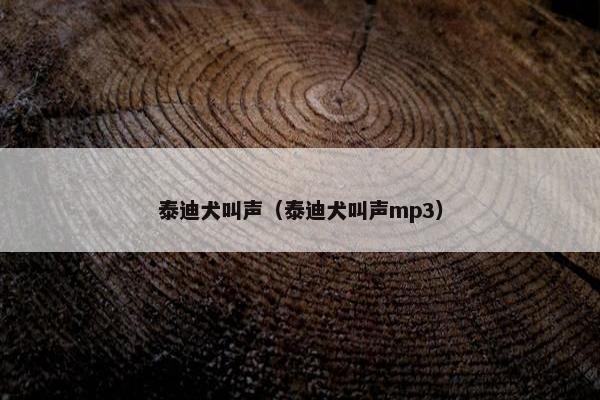 泰迪犬叫声（泰迪犬叫声mp3）
