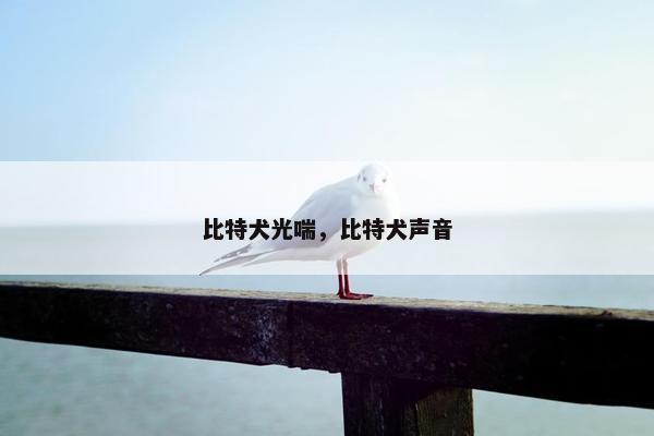 比特犬光喘，比特犬声音