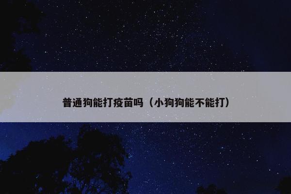 普通狗能打疫苗吗（小狗狗能不能打）