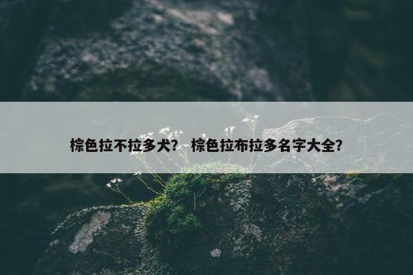 棕色拉不拉多犬？ 棕色拉布拉多名字大全？