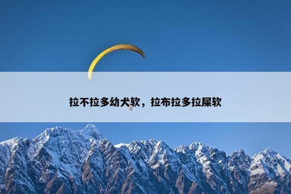 拉不拉多幼犬软，拉布拉多拉屎软