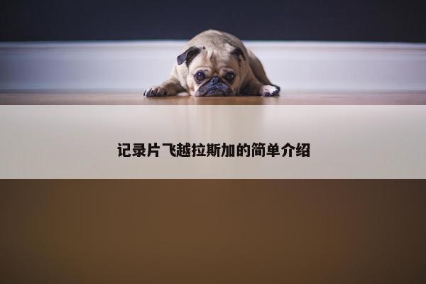 记录片飞越拉斯加的简单介绍