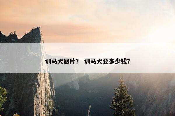 训马犬图片？ 训马犬要多少钱？