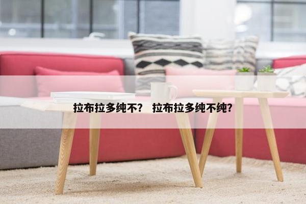 拉布拉多纯不？ 拉布拉多纯不纯？