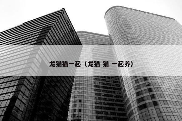 龙猫猫一起（龙猫 猫 一起养）