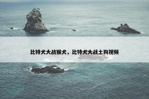 比特犬大战猴犬，比特犬大战土狗视频
