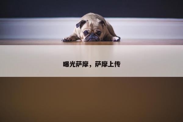 曝光萨摩，萨摩上传