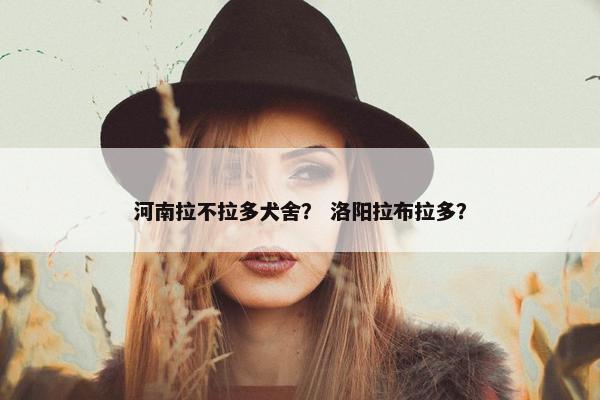 河南拉不拉多犬舍？ 洛阳拉布拉多？