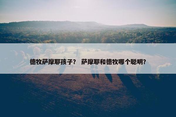 德牧萨摩耶孩子？ 萨摩耶和德牧哪个聪明？