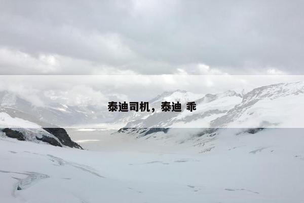 泰迪司机，泰迪 乖