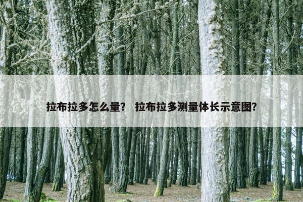 拉布拉多怎么量？ 拉布拉多测量体长示意图？