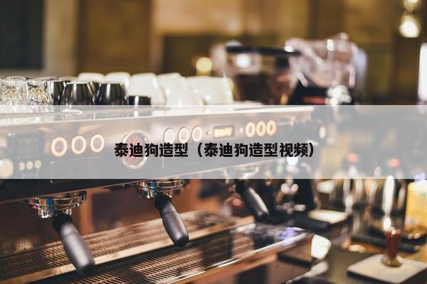 泰迪狗造型（泰迪狗造型视频）