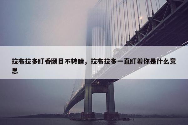 拉布拉多盯香肠目不转睛，拉布拉多一直盯着你是什么意思