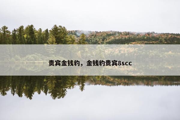 贵宾金钱豹，金钱豹贵宾8scc