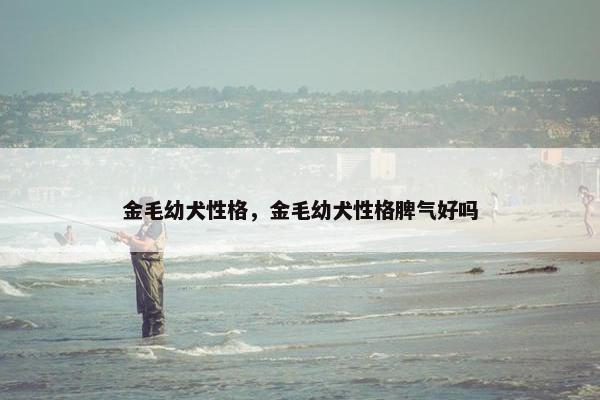 金毛幼犬性格，金毛幼犬性格脾气好吗