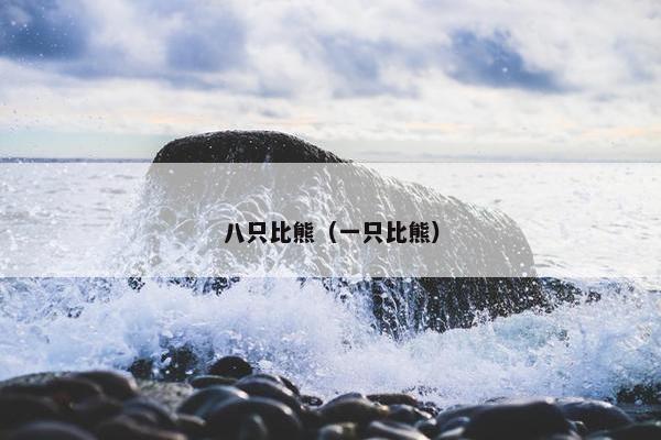 八只比熊（一只比熊）
