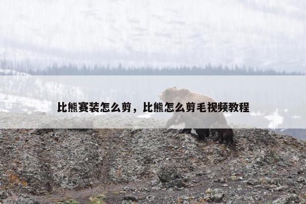比熊赛装怎么剪，比熊怎么剪毛视频教程