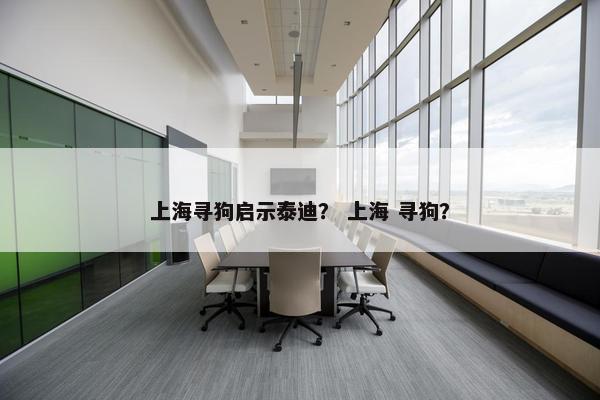 上海寻狗启示泰迪？ 上海 寻狗？