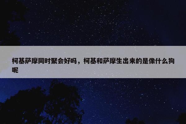 柯基萨摩同时聚会好吗，柯基和萨摩生出来的是像什么狗呢