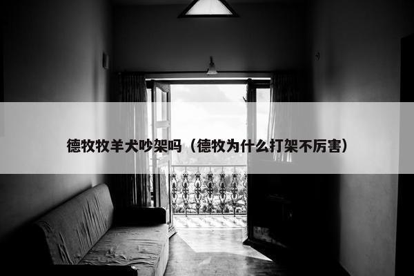 德牧牧羊犬吵架吗（德牧为什么打架不厉害）