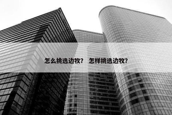 怎么挑选边牧？ 怎样挑选边牧？