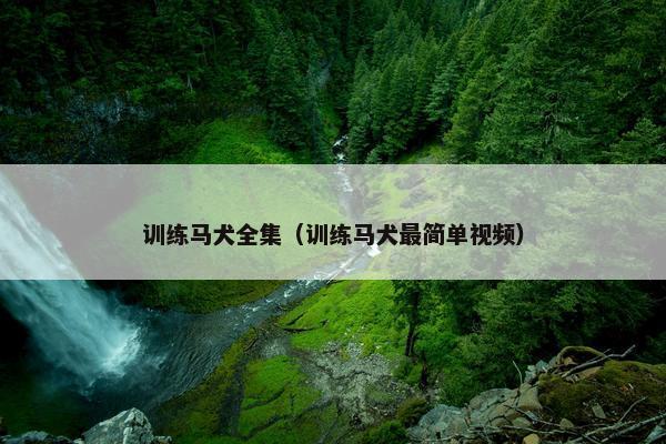 训练马犬全集（训练马犬最简单视频）