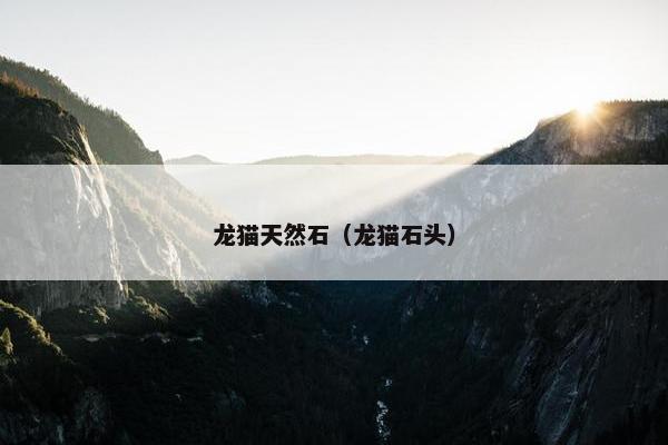 龙猫天然石（龙猫石头）