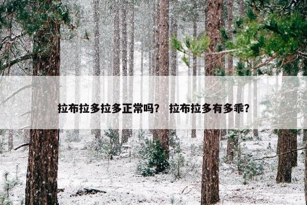 拉布拉多拉多正常吗？ 拉布拉多有多乖？