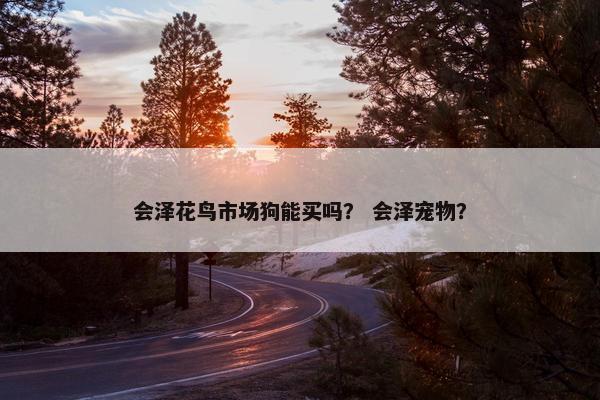 会泽花鸟市场狗能买吗？ 会泽宠物？