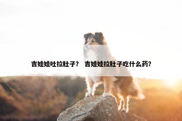 吉娃娃吐拉肚子？ 吉娃娃拉肚子吃什么药？