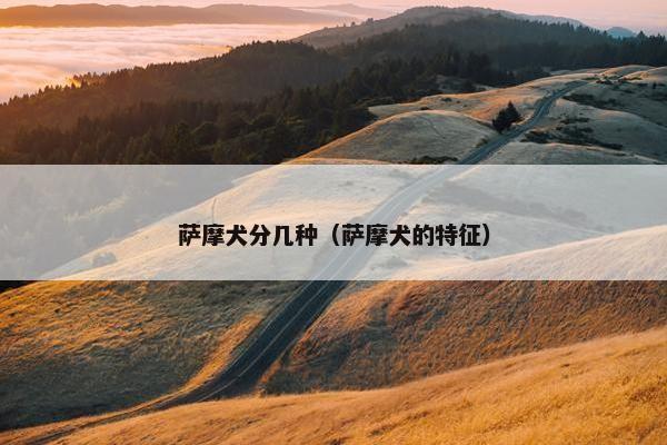 萨摩犬分几种（萨摩犬的特征）