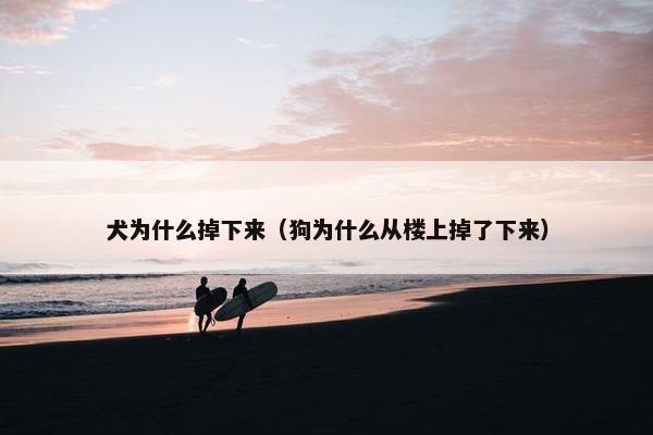 犬为什么掉下来（狗为什么从楼上掉了下来）