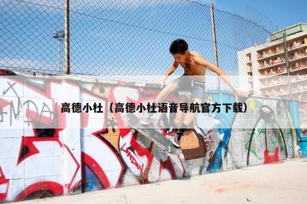 高德小杜（高德小杜语音导航官方下载）