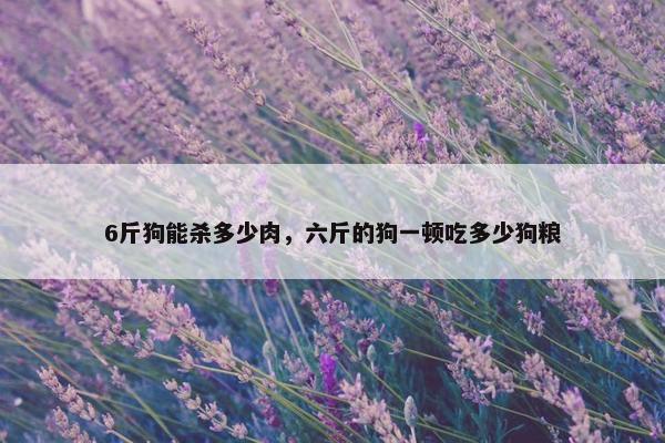 6斤狗能杀多少肉，六斤的狗一顿吃多少狗粮