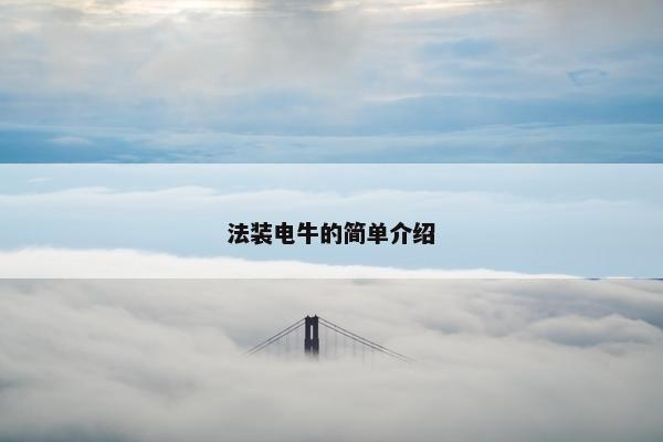 法装电牛的简单介绍