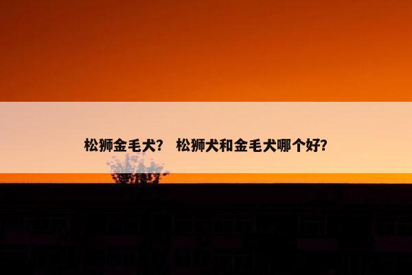 松狮金毛犬？ 松狮犬和金毛犬哪个好？