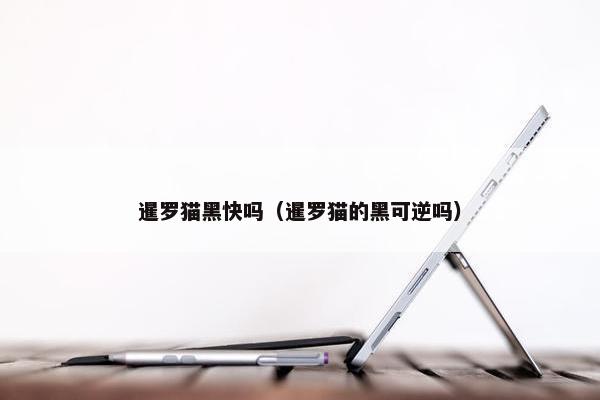 暹罗猫黑快吗（暹罗猫的黑可逆吗）