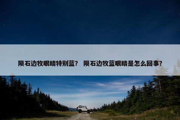 陨石边牧眼睛特别蓝？ 陨石边牧蓝眼睛是怎么回事？