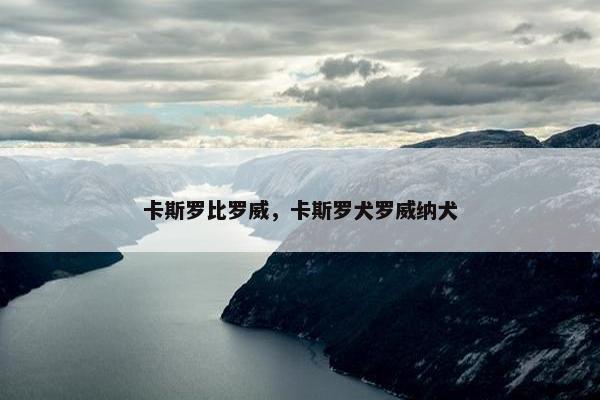 卡斯罗比罗威，卡斯罗犬罗威纳犬