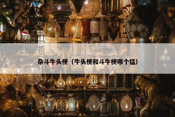 杂斗牛头梗（牛头梗和斗牛梗哪个猛）