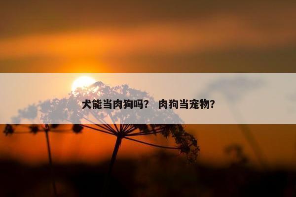 犬能当肉狗吗？ 肉狗当宠物？