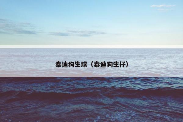 泰迪狗生球（泰迪狗生仔）