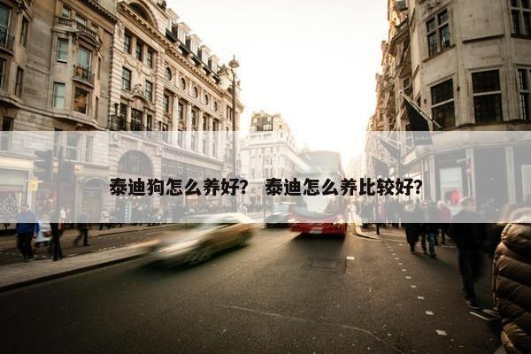 泰迪狗怎么养好？ 泰迪怎么养比较好？