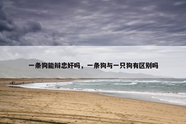 一条狗能辩忠奸吗，一条狗与一只狗有区别吗
