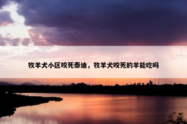 牧羊犬小区咬死泰迪，牧羊犬咬死的羊能吃吗