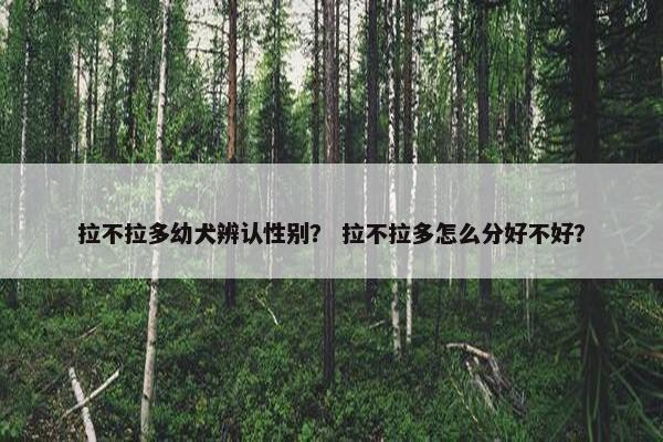 拉不拉多幼犬辨认性别？ 拉不拉多怎么分好不好？