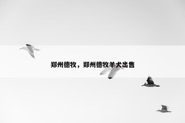 郑州德牧，郑州德牧羊犬出售
