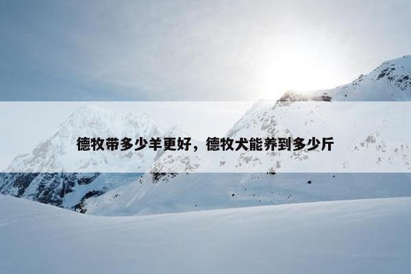 德牧带多少羊更好，德牧犬能养到多少斤